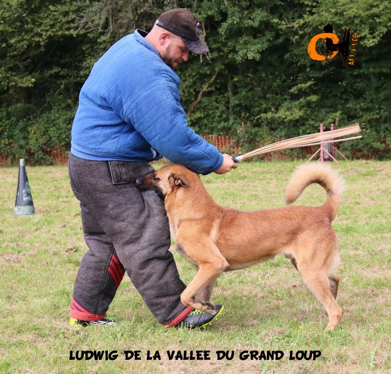 Publication : of Halloween