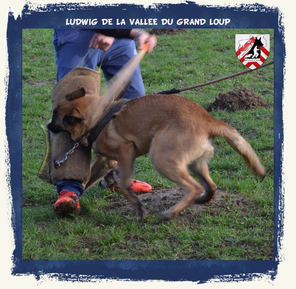 Publication : of Halloween