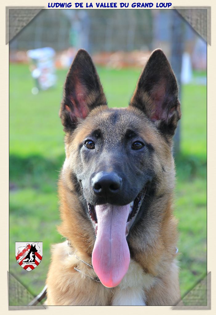 Publication : of Halloween