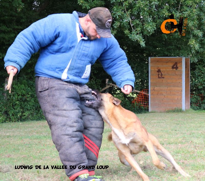 Publication : of Halloween