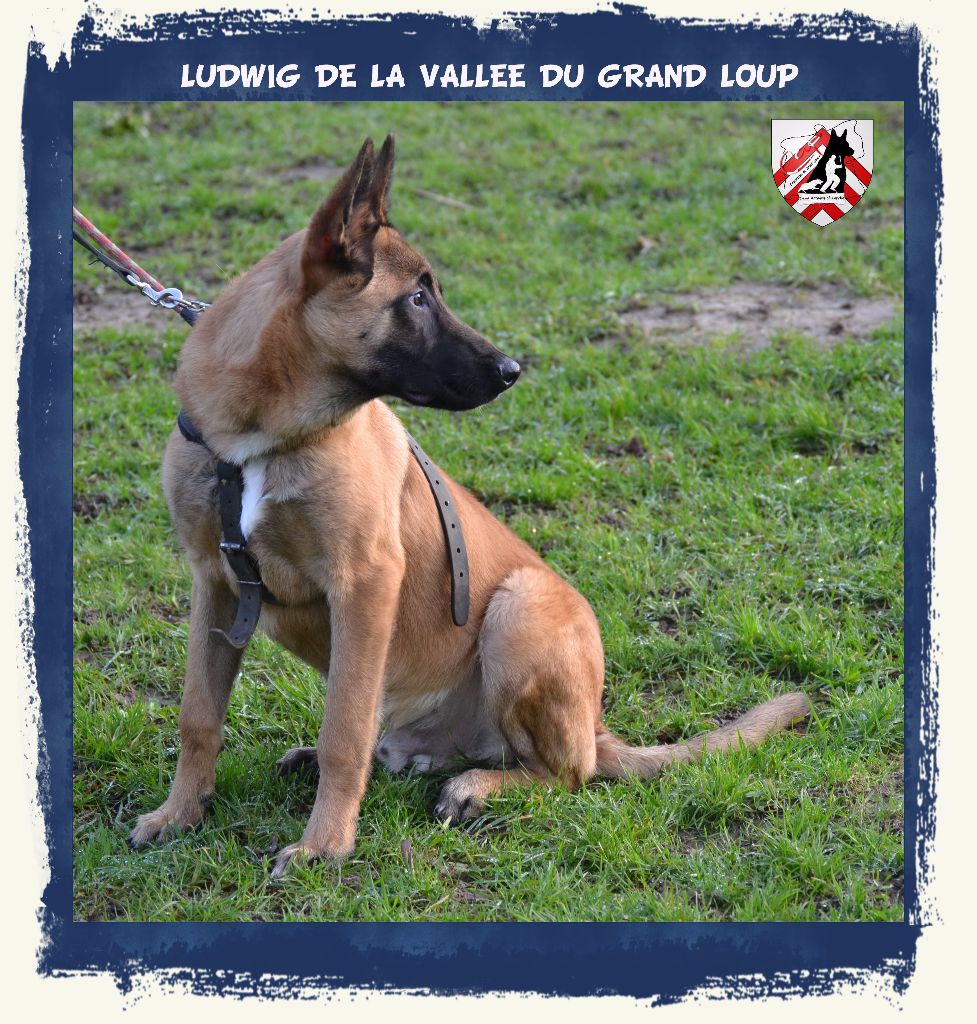 Publication : of Halloween