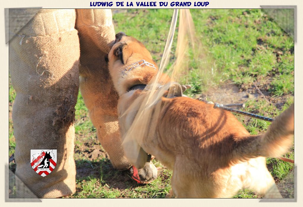 Publication : of Halloween