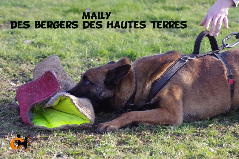 Maïly des bergers des hautes terres