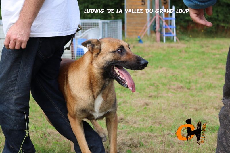 Publication : of Halloween