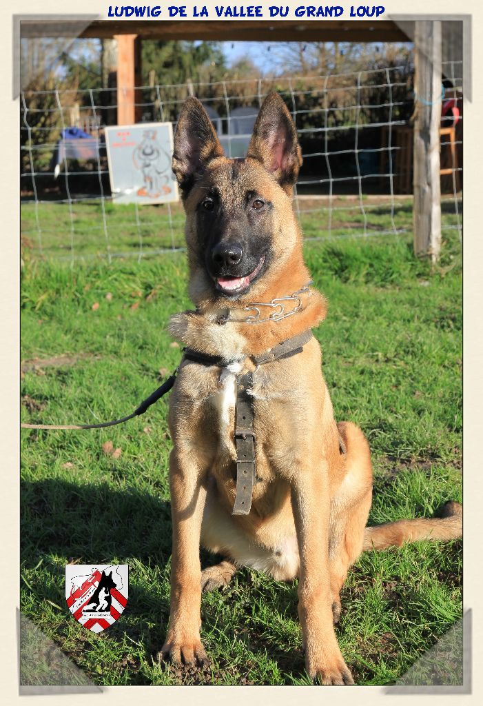 Publication : of Halloween