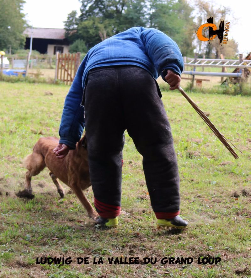 Publication : of Halloween