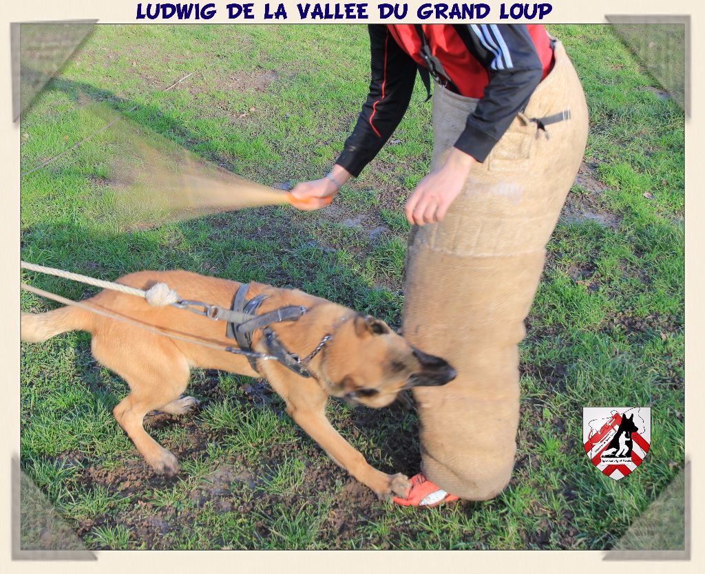 Publication : of Halloween