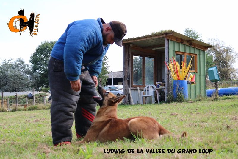 Publication : of Halloween