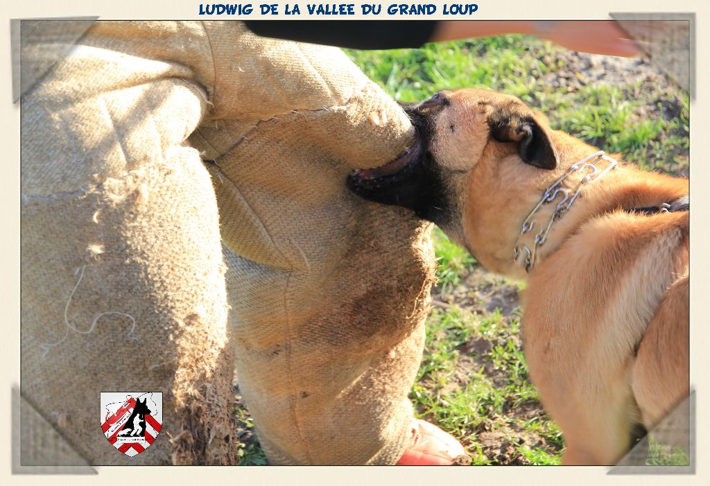 Publication : of Halloween