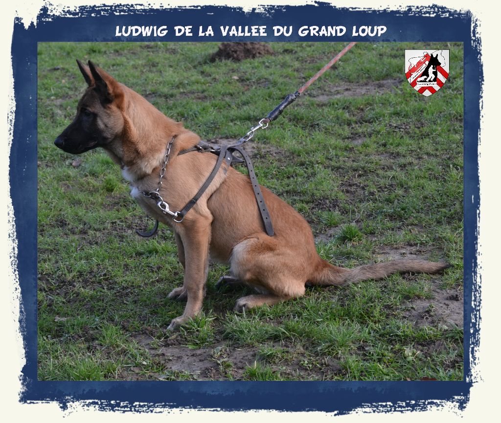 Publication : of Halloween