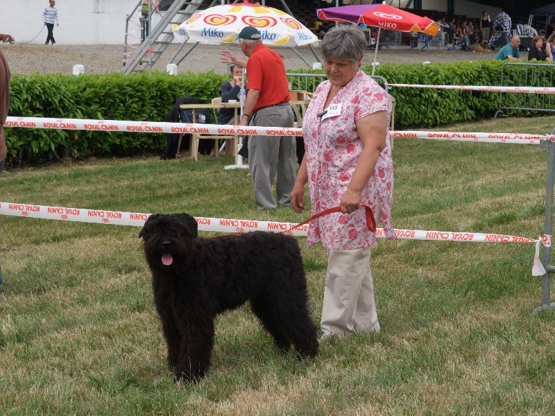 Publication : du Coeur des deux Mers Auteur : le coeur des deux mers