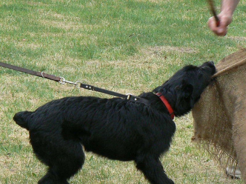 Publication : du Coeur des deux Mers Auteur : Coeur des deux mers