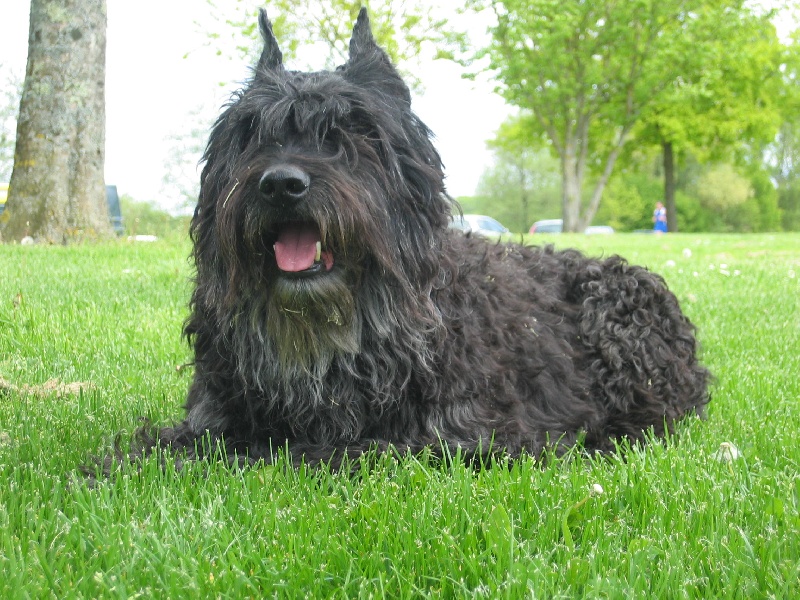 Publication : du Coeur des deux Mers Auteur : LE COEUR DES DEUX MERS