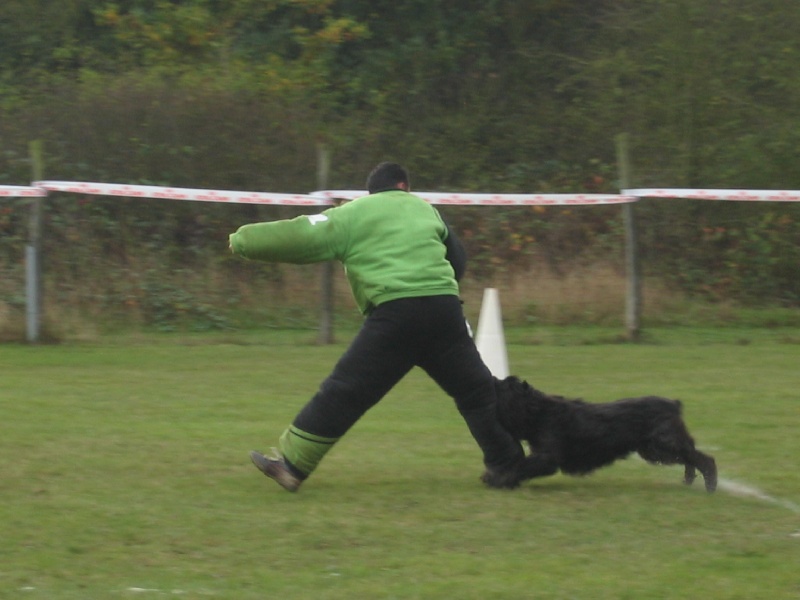 Publication : du Coeur des deux Mers Auteur : LE COEUR DES DEUX MERS