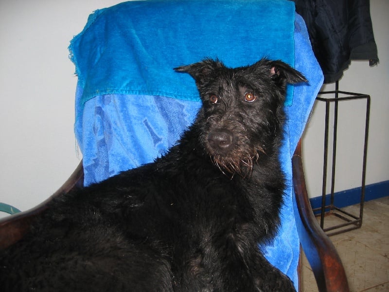 Publication : du Coeur des deux Mers Auteur : Coeur des deux mers