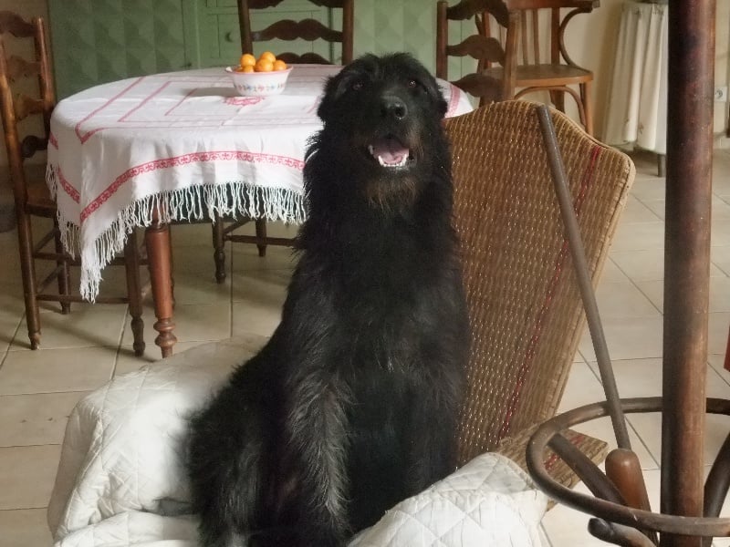 Publication : du Coeur des deux Mers Auteur : Coeur des deux mers