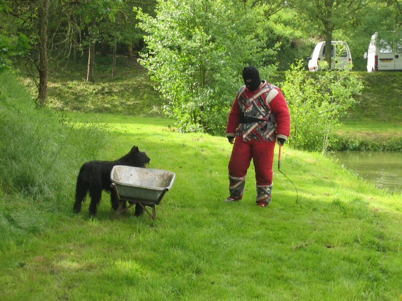 Publication : du Coeur des deux Mers Auteur : LE COEUR DES DEUX MERS