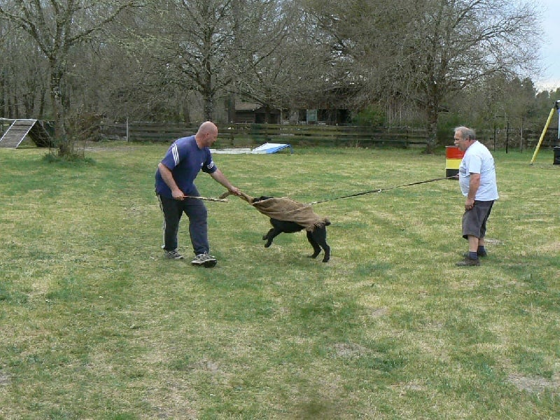 Publication : du Coeur des deux Mers Auteur : Coeur des deux mers