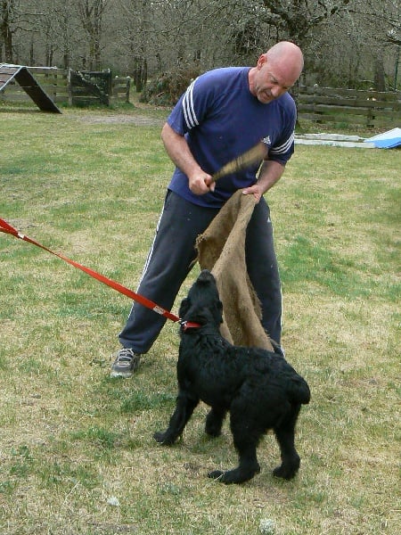 Publication : du Coeur des deux Mers Auteur : Coeur des deux mers