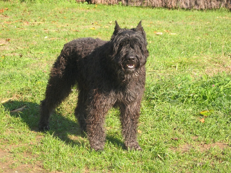 Publication : du Coeur des deux Mers Auteur : LE COEUR DES DEUX MERS