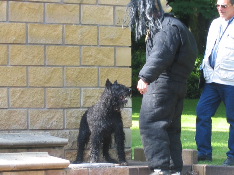 Publication : du Coeur des deux Mers Auteur : LE COEUR DES DEUX MERS