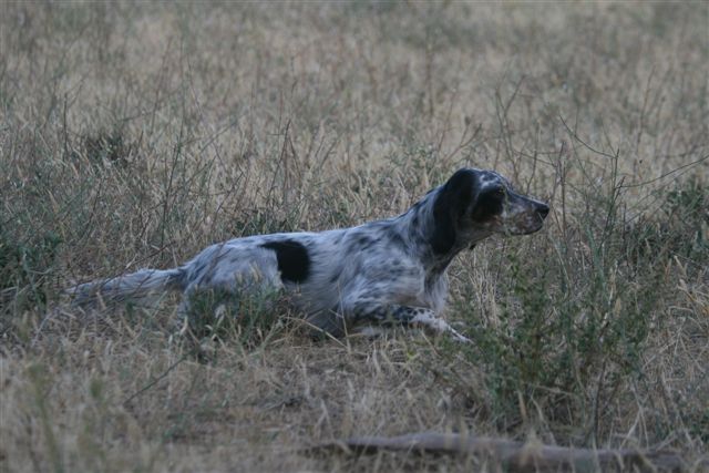 Publication : du Tourbillon Blanc