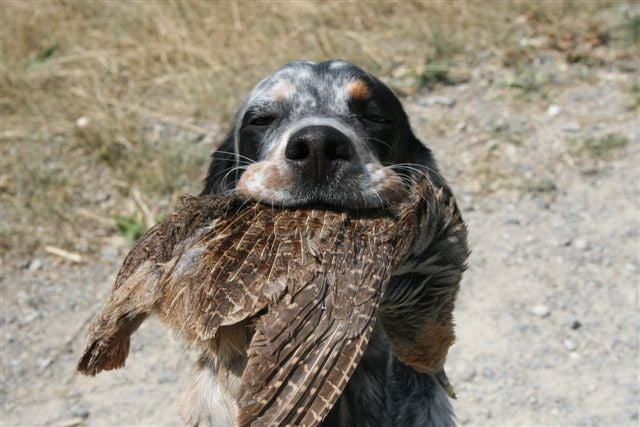 Publication : du Tourbillon Blanc