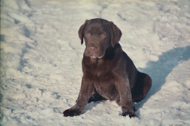 Publication : de la plaine du Vermandois