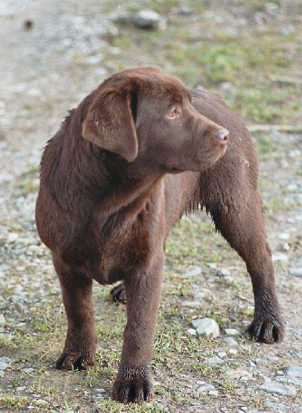 Publication : de la plaine du Vermandois