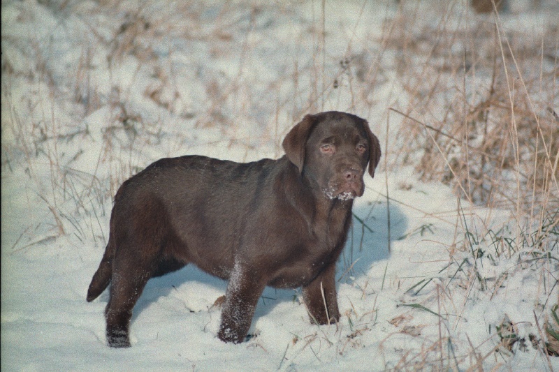 Publication : de la plaine du Vermandois