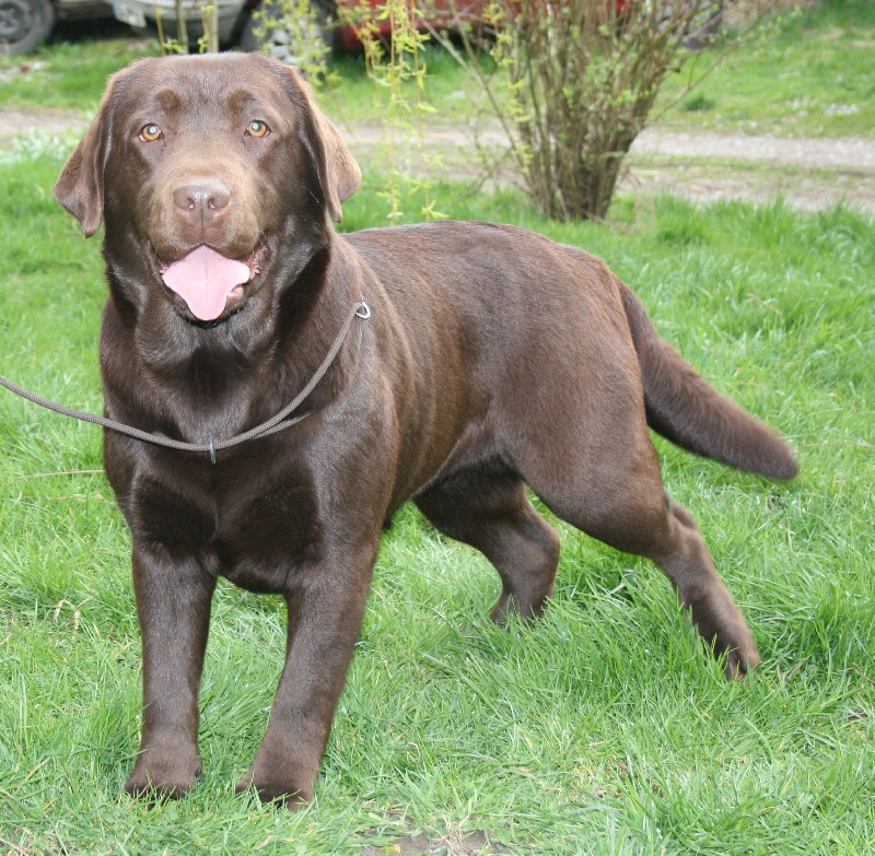 Publication : de la plaine du Vermandois