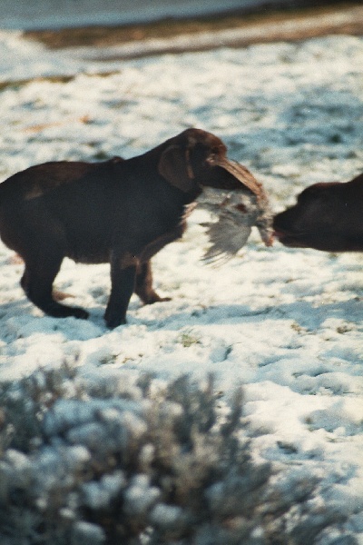 Publication : de la plaine du Vermandois