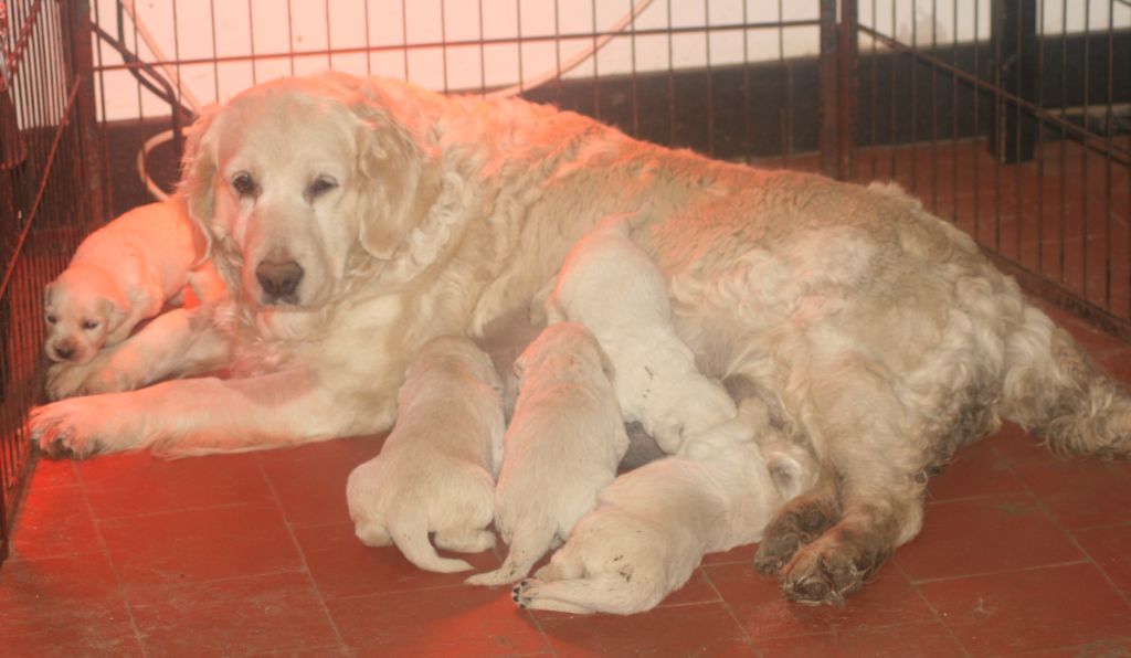 Publication : de la plaine du Vermandois