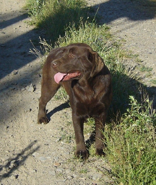 Publication : de la plaine du Vermandois