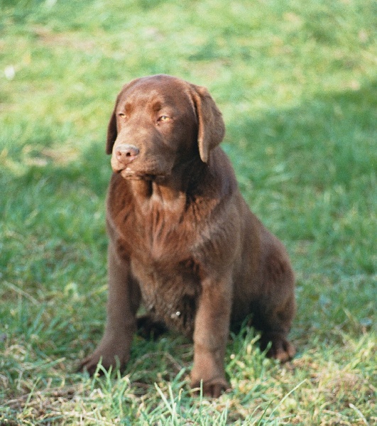 Publication : de la plaine du Vermandois