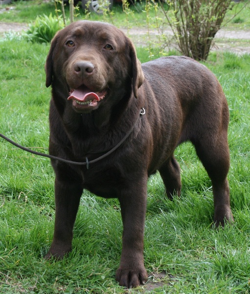 Publication : de la plaine du Vermandois