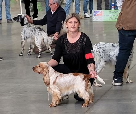 Valentine's day ar Sterenn Gwen - CACS et R-CACIB