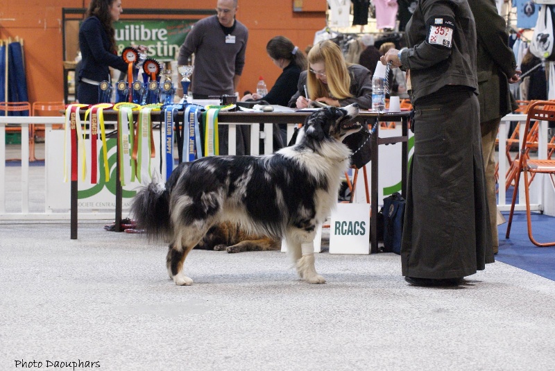 Some kind of magic's He's all that - 2 eme excellent (jeune mâle)