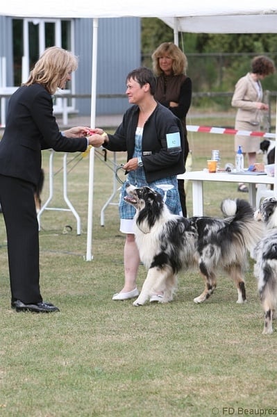 Some kind of magic's He's all that - 2ème (9-12 months)