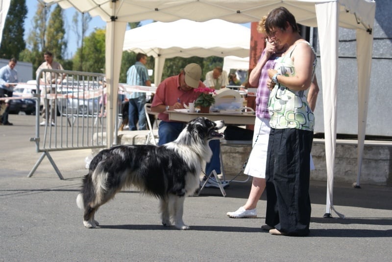 Some kind of magic's He's all that - 1er excellent (jeune mâle)