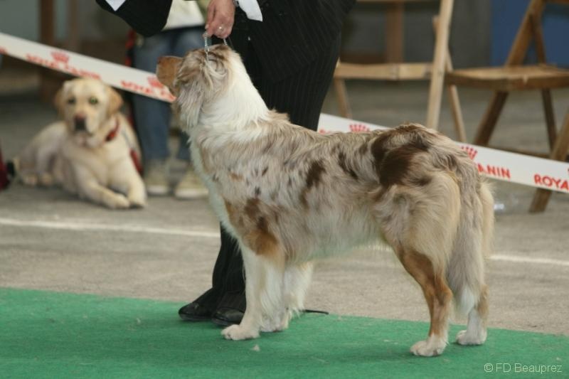 Banshee red Du Paradis Sauvage De Menestruel - Très bon