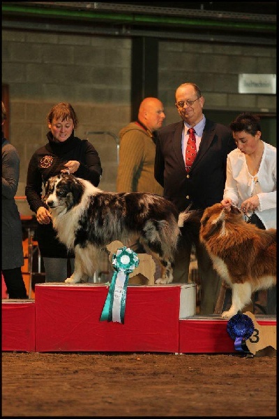 Some kind of magic's He's all that - 1er excellent (classe ouverte mâle)