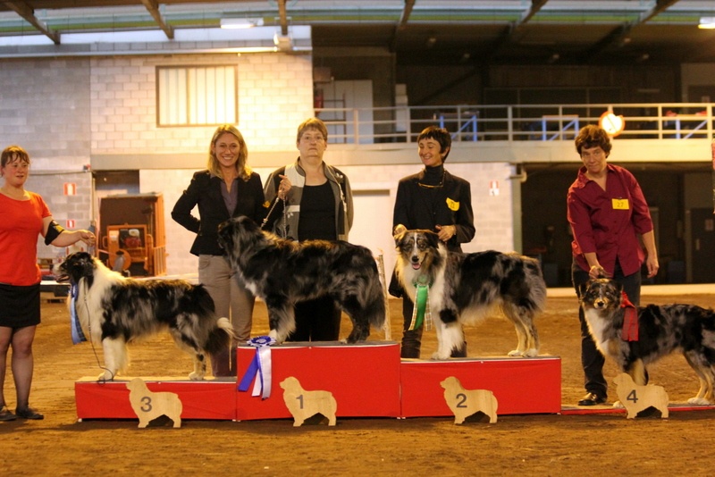 Some kind of magic's He's all that - 3eme excellent (ouverte mâle)