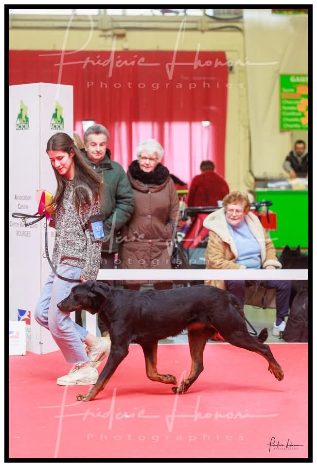 Umaya del Castèl al Lugana