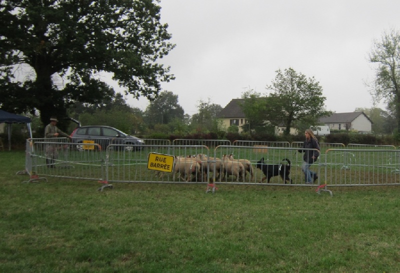 Hélios de la Cité des Grands Feux - C.A.N.T.