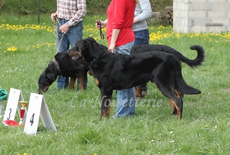 Hélios de la Cité des Grands Feux - 3e Classe Jeunes