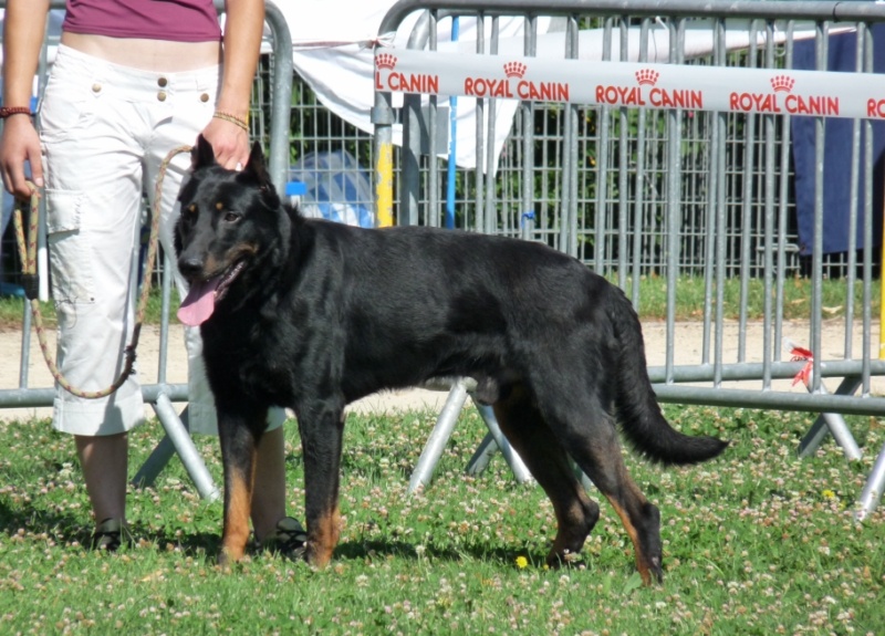 Ulko Du fort d'ouxy - Excellent, 5e (classe ouverte)