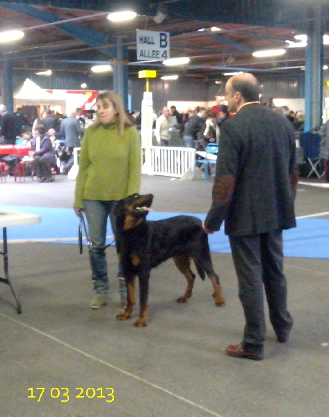 Hélios de la Cité des Grands Feux - Cotation 1