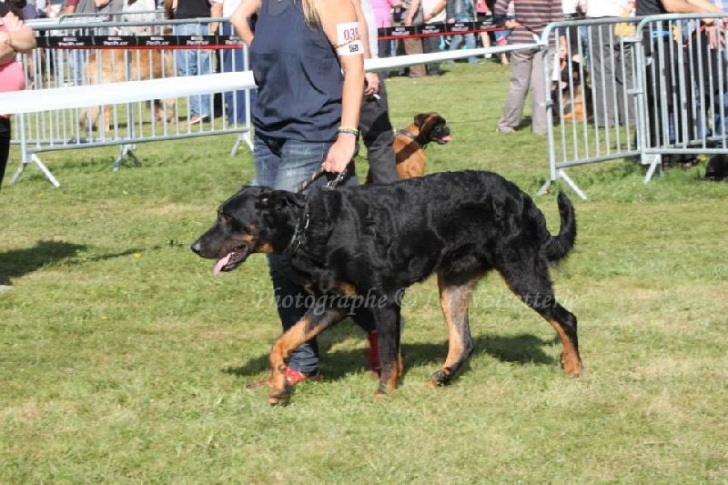 Hélios de la Cité des Grands Feux - 3e Classe Ouverte