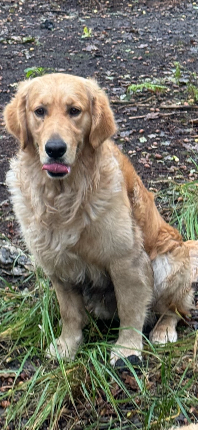 Publication : du haut de la Girauderie